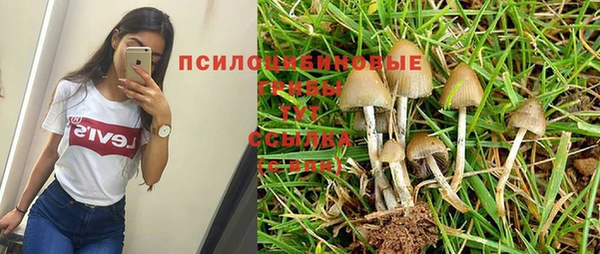 экстази Алексеевка