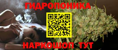 сатива Краснодар