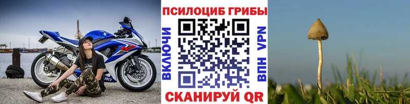 Псилоцибиновые грибы Psilocybine cubensis  Дубна 