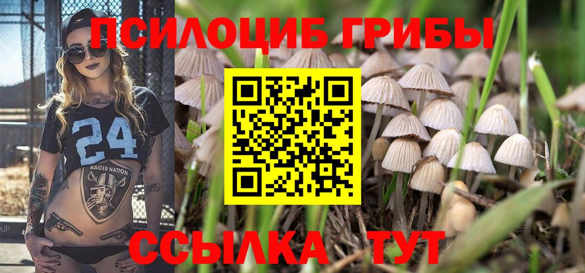 Псилоцибиновые грибы мицелий Дубна
