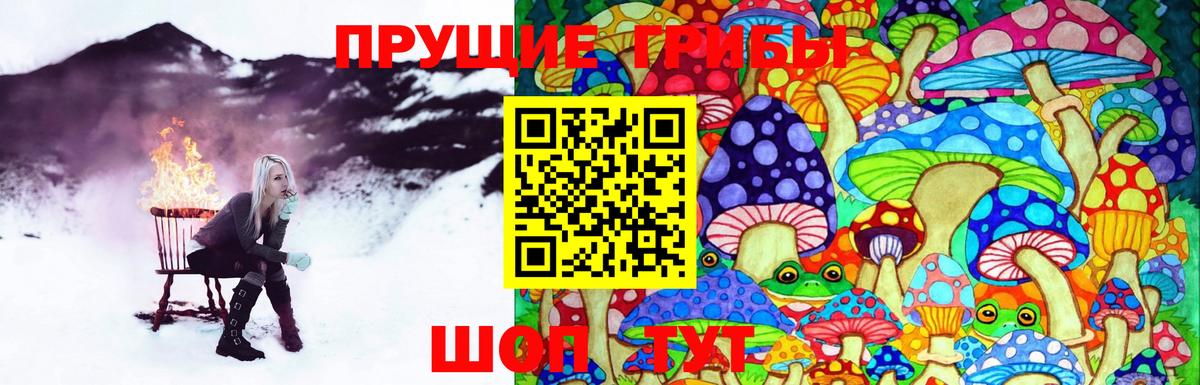 Дубна  Псилоцибиновые грибы MAGIC MUSHROOMS  Галлюциногенные грибы мухоморы  Вход с VPN 
